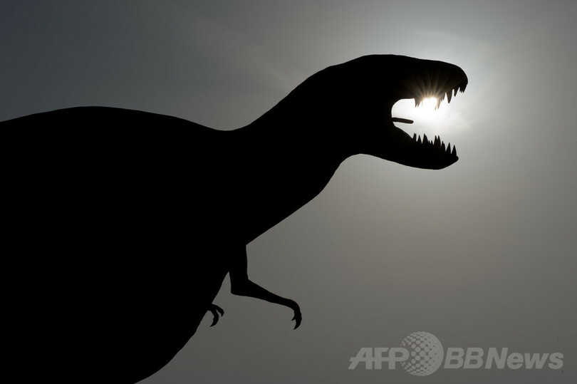 恐竜は「中温動物」、米チームが新説発表