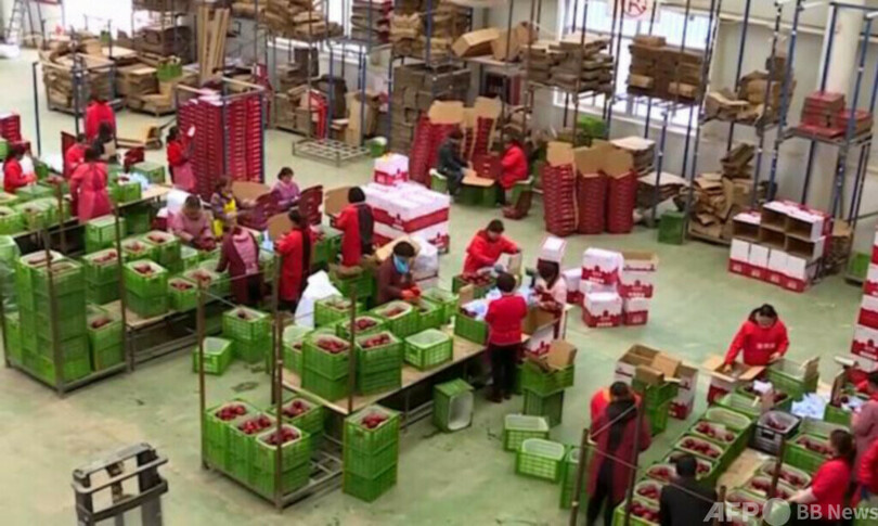 中国の実物商品のネット小売額、初めて180兆円を突破