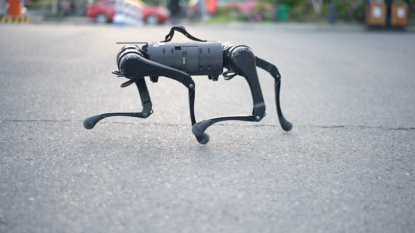 犬型ロボットと出かけよう 中国