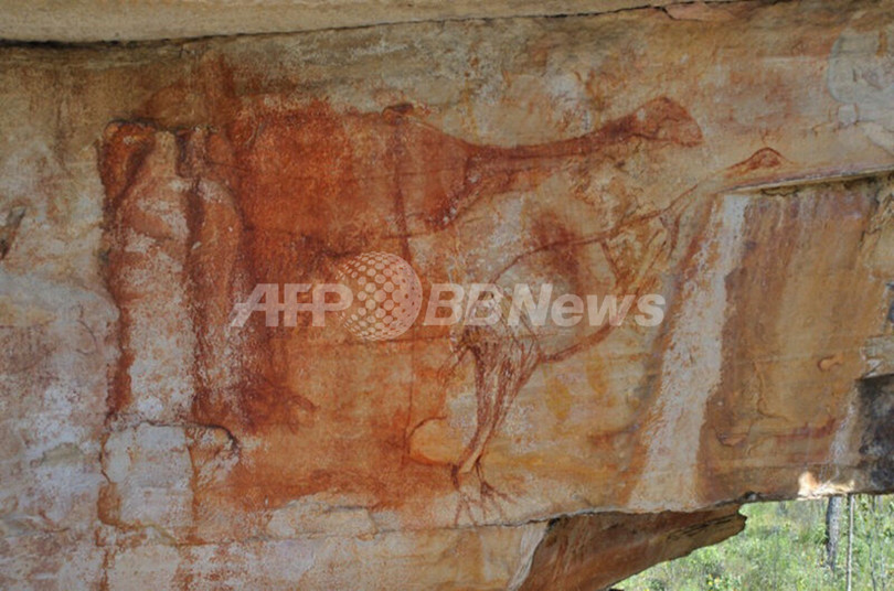 アボリジニ壁画に絶滅の鳥、南半球で最古の壁画か オーストラリア アボリジニ壁画に絶滅の鳥、南半球で最古の壁画か オーストラリア