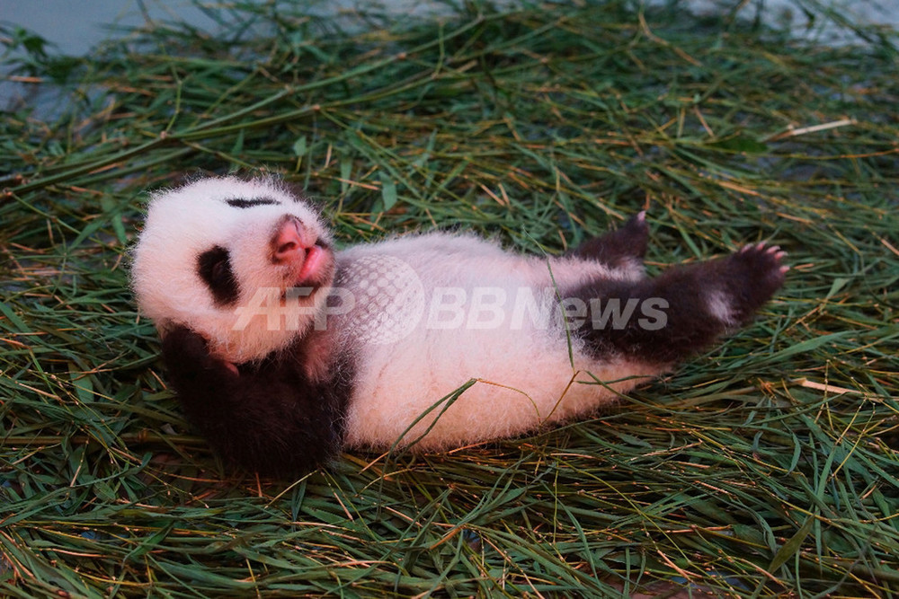 img_e1145a5d5ddb5a07d6bf204854