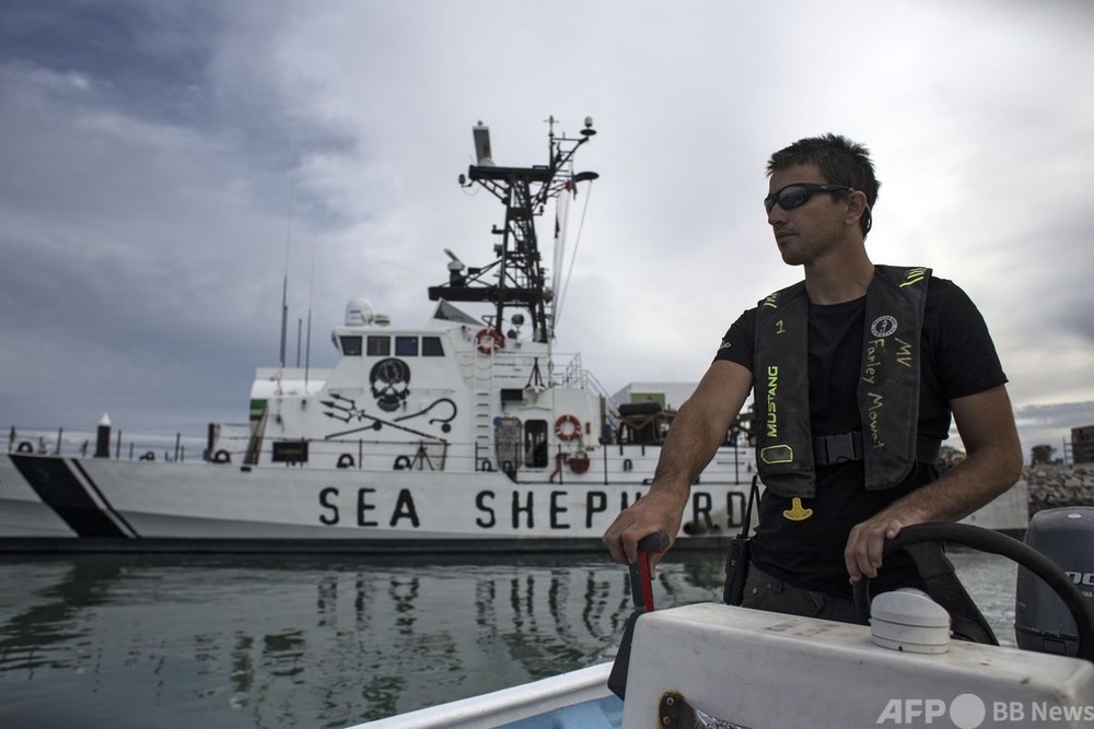 シー・シェパード船と洋上で衝突、メキシコ人漁師死亡