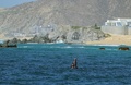 メキシコ北東部バハカリフォルニア州ロスカボスの太平洋岸で撮影されたクジラ（2024年2月21日撮影、資料写真）。(c)ALFREDO ESTRELLA / AFP