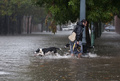 アルゼンチンの首都ブエノスアイレス（Buenos Aires）は1日から2日にかけて暴風雨に見舞われた。停電や倒木、家屋が壊れるなどの被害が出たほか、6人が死亡した。

写真は、記録的な雨が降ったアルゼンチンの首都ブエノスアイレス（Buenos Aires）で、イヌを連れて冠水した道路を渡る男性（2013年4月2日撮影）。(c)AFP/NA/Jose Luis Perrino