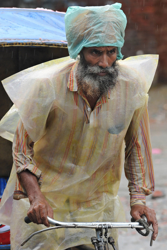 降雨不足で田植えに遅れ、食糧輸出を禁止 インド