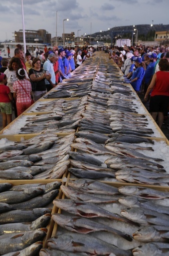 魚を大量に並べてギネス世界記録に挑戦、レバノン