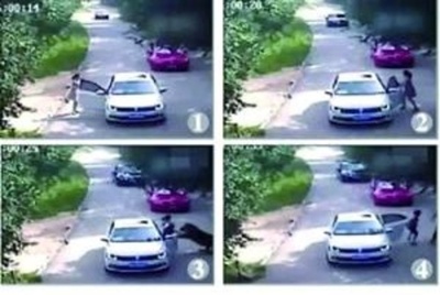 北京のサファリパーク死傷事故、園側に責任無し　被害者側の賠償請求に対し延慶法院