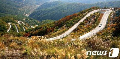 韓流トラベル・星を見る旅が人気…慶尚北道永川「天文・キャンプ・美食」体験型観光が拡大