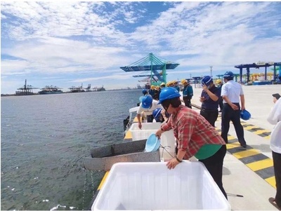 海洋生物の多様性を的確に守る