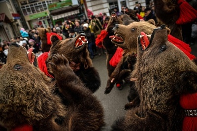 「クマの行進」で新年迎える、ルーマニアの祭り