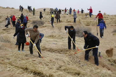 植樹にQRコード活用 中国、国民に努力促す