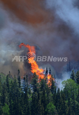 米アリゾナ州で山火事 隣州に燃え広がる 写真12枚 ファッション ニュースならmode Press Powered By Afpbb News