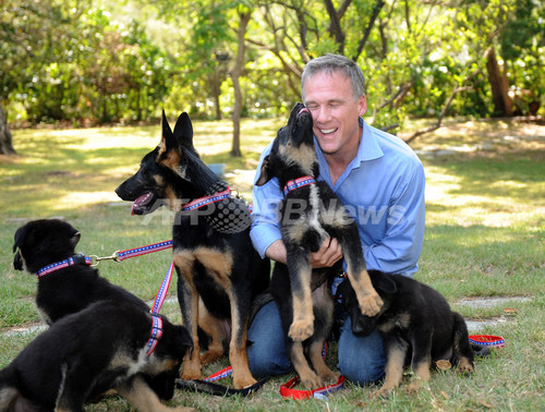 9 11テロの 英雄犬 をクローン化 飼い主は救助犬にしたい意向 写真16枚 ファッション ニュースならmode Press Powered By Afpbb News