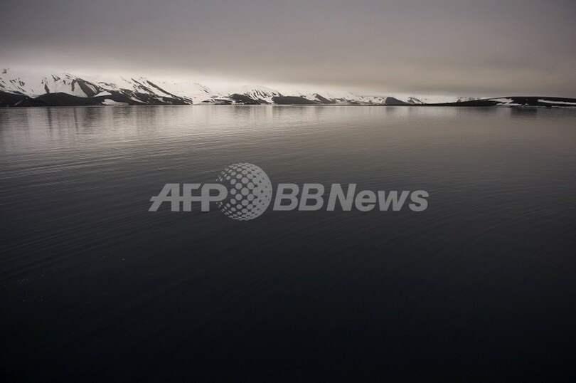 海の酸性化で 海の蝶 の殻が溶解 南極海調査 写真1枚 国際ニュース Afpbb News