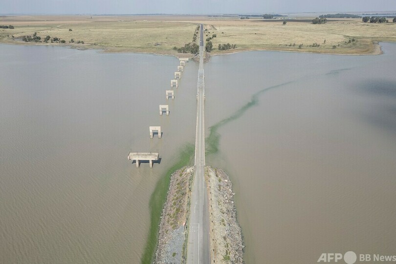 【今日の1枚】水中にたなびく藻 南ア