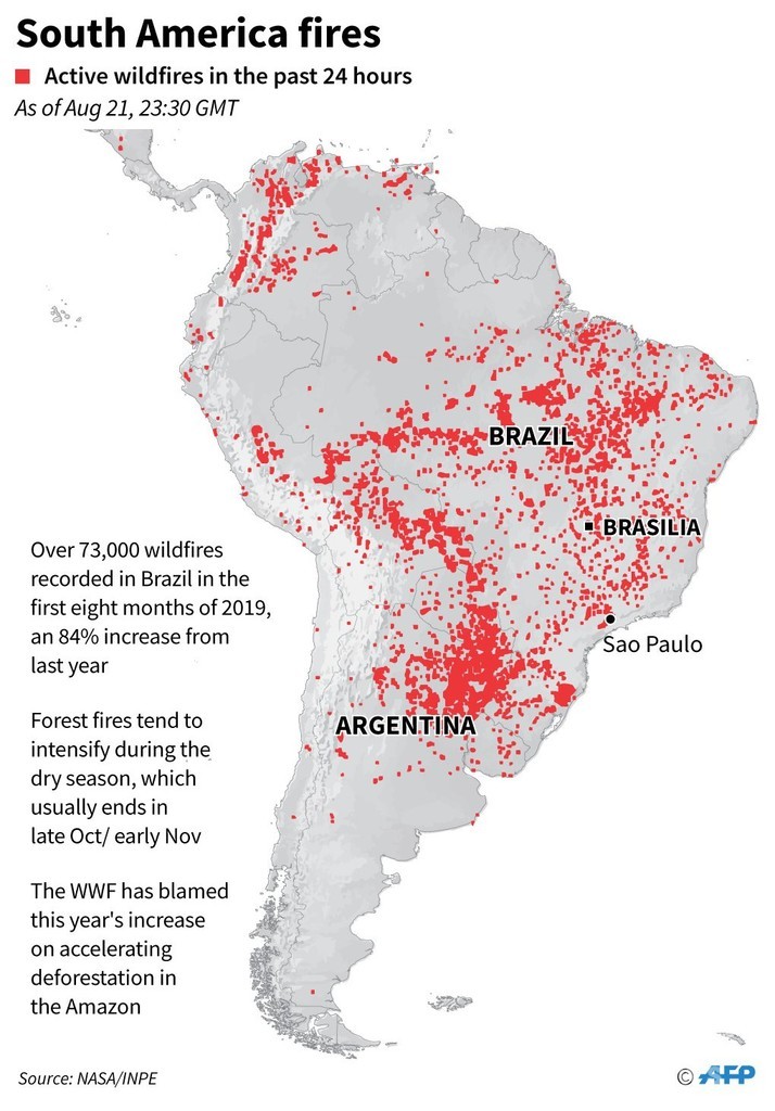 炎上するアマゾン、ネットで話題に ブラジル大統領はNGO非難