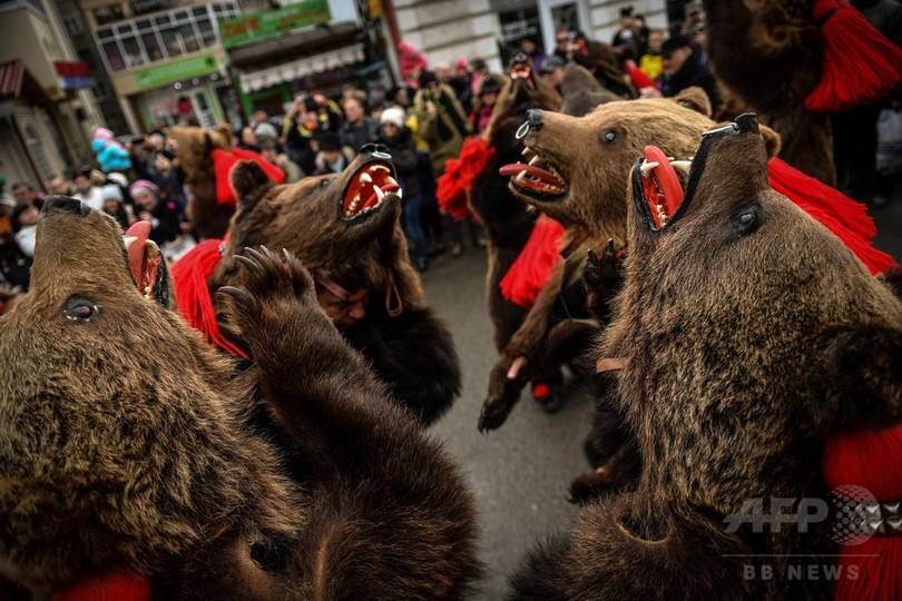 クマの行進 で新年迎える ルーマニアの祭り 写真枚 国際ニュース Afpbb News