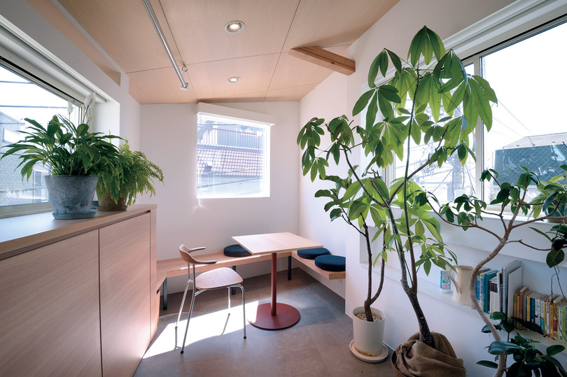 建物南端の室内テラス。幅は狭いが日当たりが良く、植物が元気に育つ。