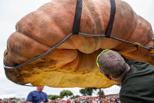 重さはカバ並、1247キロの「おばけカボチャ」が世界記録 米 写真2枚