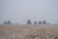 米コロラド州ボルダーに近いロッキー山脈の麓で観測された雪（2020年9月8日撮影）。(c)Eli IMADALI / AFP
