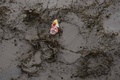 (c)AFP/Oli Scarff