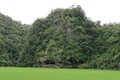 4万5500年以上前に描かれたイノシシの壁画が見つかったインドネシア・スラウェシ島の洞窟（撮影日不明）。(c)AFP PHOTO /ADHI AGUS OKTAVIANA/GRIFFITH UNIVERSITY/HANDOUT