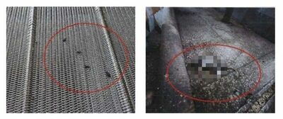 韓国・食品扱う会社なのに…言葉にできない「不衛生」の極み、当局が摘発