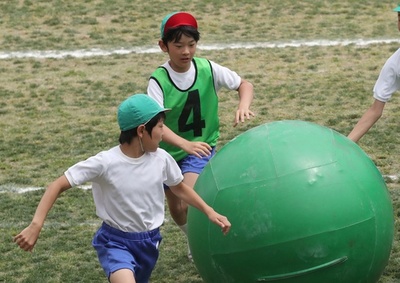 悠仁さま、小学校で運動会 大玉送りに出場