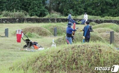 韓国で増える「お墓の周りの草刈り代行サービス」…年間9万件以上