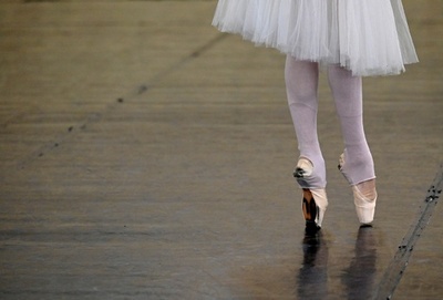 批評家の顔に犬のふん、バレエ振付家を停職処分 独