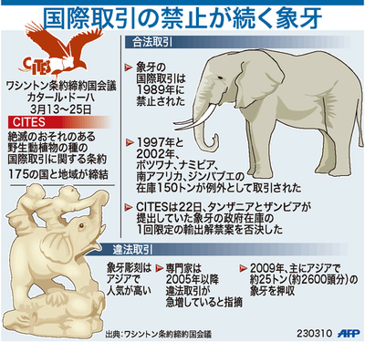 【図解】象牙の国際取引