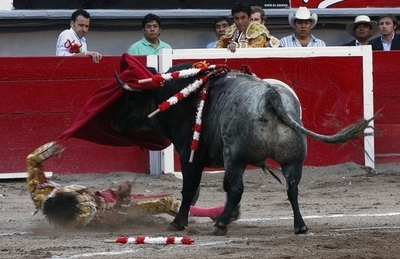 牛に突かれ重体の闘牛士、驚異的な回復見せる メキシコ