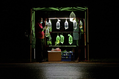 【今日の1枚】小さな命の明かり、都会の夜に浮かぶ