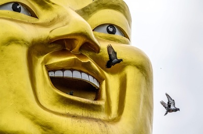 【今日の1枚】大仏様のマジックショー!?