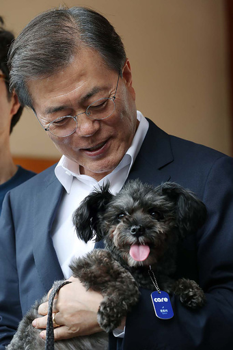 韓国の文大統領、保護された犬を引き取る 家族の新メンバーに