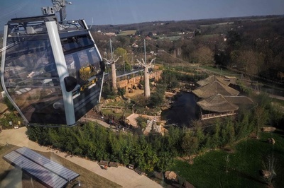 動物園に床がガラス張りのロープウエー 仏