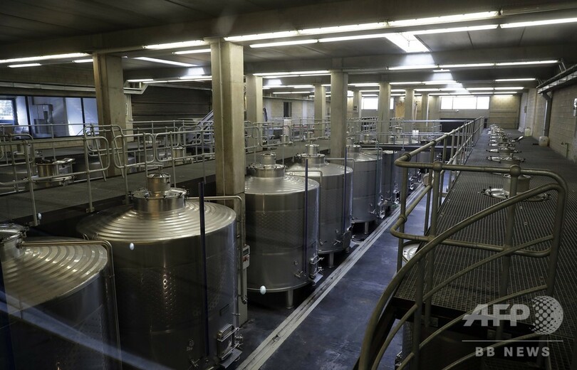 ゴーン被告のワイナリー、レバノンで順調操業 一家のルーツ