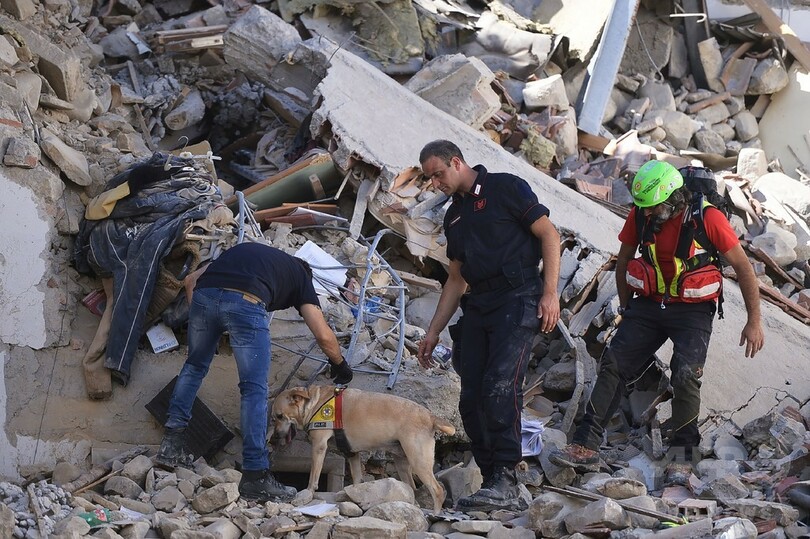 伊中部地震、死者250人に 「人災」の可能性捜査