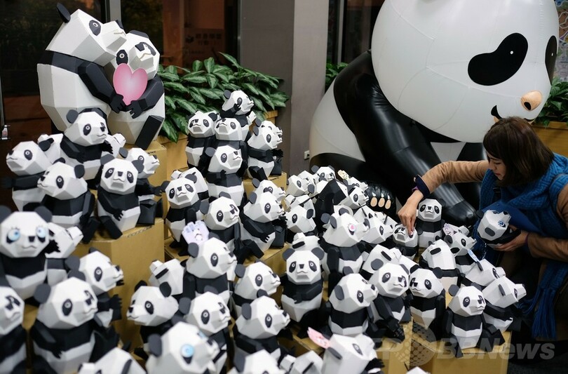 紙製パンダ100匹がお出迎え、台湾の動物園