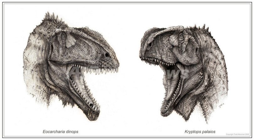 1億1000万年前の肉食竜、新たに2種発見、ニジェール