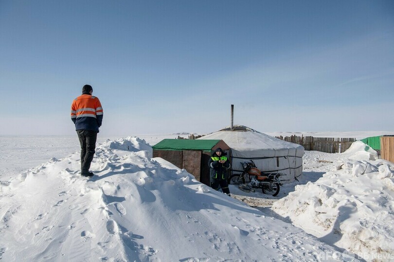 寒雪害「ゾド」のモンゴル、家畜210万頭死ぬ