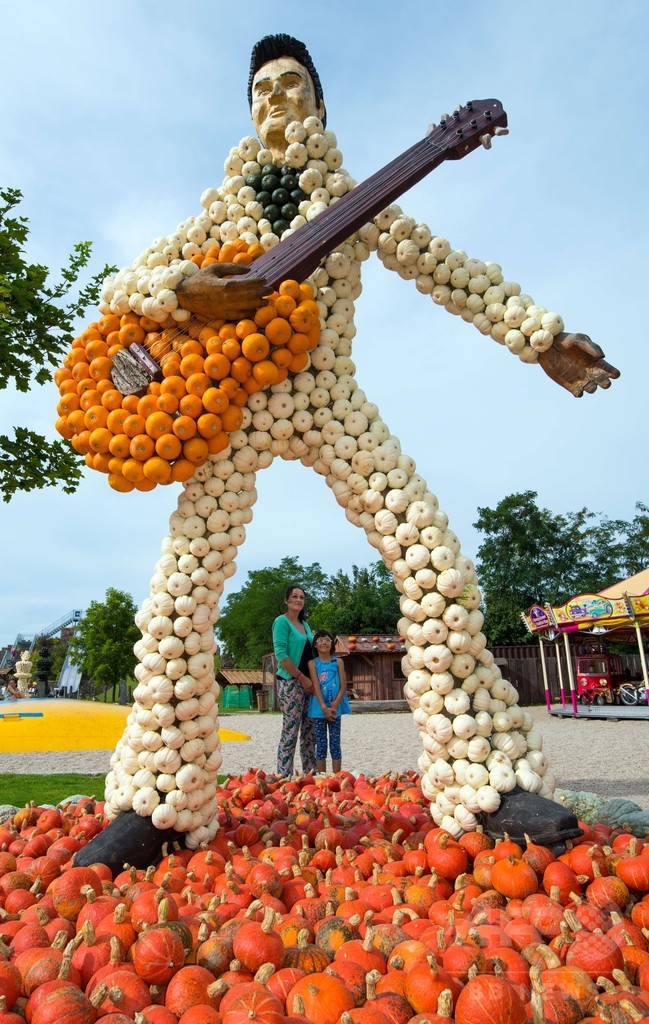 プレスリーに恐竜も…全部かぼちゃ、ドイツ