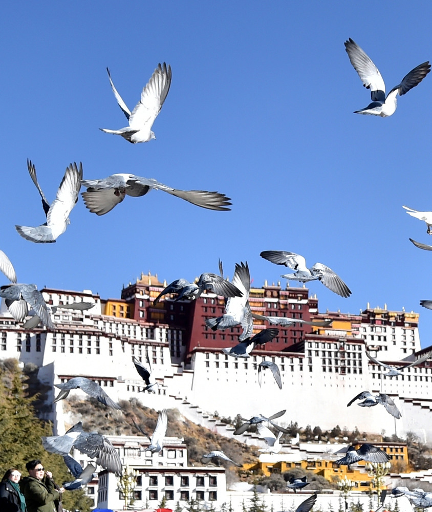 国際ニュース：AFPBB News春めくチベット自治区ラサ市