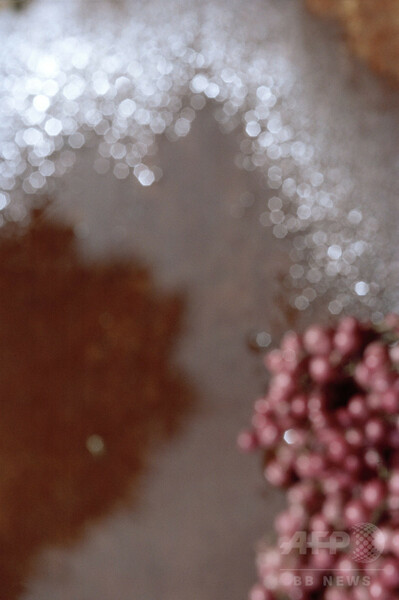 「マメ」17年春夏