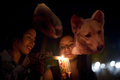 南米コロンビア・アンティオキア（Antioquia）県メデジン（Medellin）で、ホームレス・アニマルズ・デー（Homeless Animals Day）を前に動物保護団体「アニマ・ナチュラリス（AnimaNaturalis）」の活動家たちが集まり、ホームレスの動物をなくすための抗議活動を行った（2013年8月15日撮影）。(c)AFP/Raul ARBOLEDA