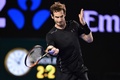 全豪オープンテニス、男子シングルス決勝。リターンを打つアンディ・マレー（2016年1月31日撮影）。(c)AFP/PETER PARKS