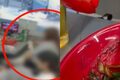 「料理に毛髪混入」とネット告発、店側の防犯カメラ確認で一転…韓国・中華料理店が法的措置へ