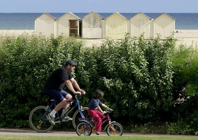 父親の年齢が上がると子どもの知能指数が下がる、研究