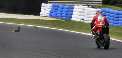 【今日の1枚】飛び出し注意!!