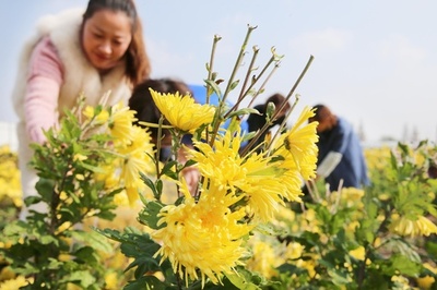 ECによる貧困扶助キャンペーン実施 中国工業情報化部